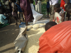 Untargeted beneficiaries of CWR receiving maize and other food items after the main beneficiaries got the items allocated to them in Pagak IDP camps...